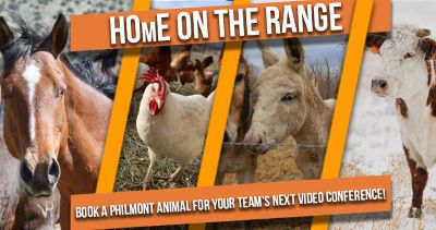 Want an Animal on your next ZOOM call? Pick One & Call Us! - Mission Peak  District