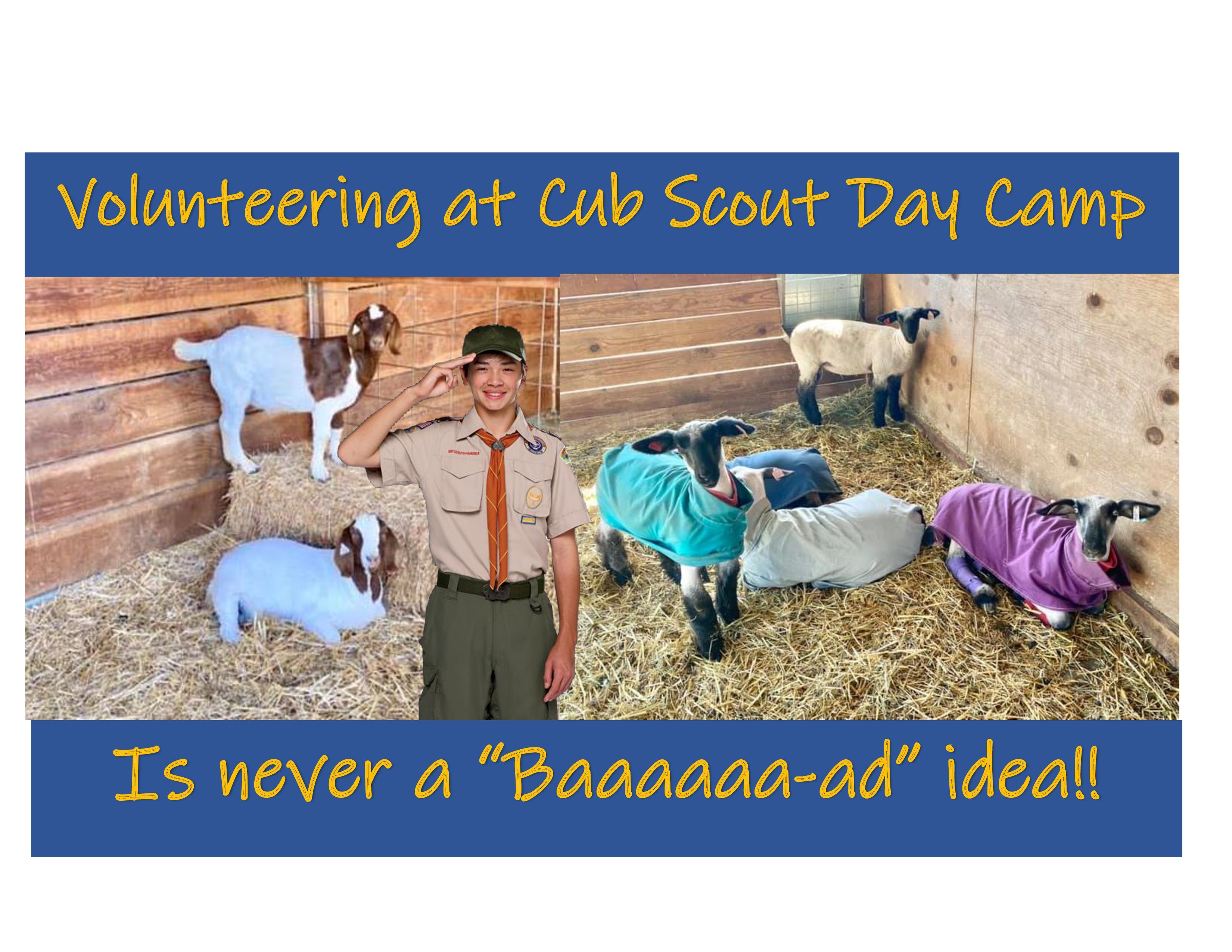 Volunteers are needed at the Cub Scout Day Camp!