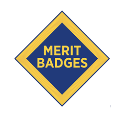 Huge Success of the Merit Badge Extravaganza!