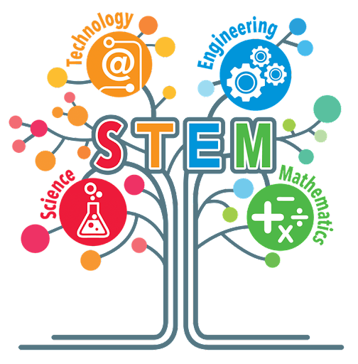 STEM Fellowship Opportunity for BSA Scouts this summer!